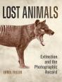 Lost Animals - Preview