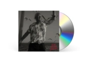 Capa do artigo Lost at Sea - CD
