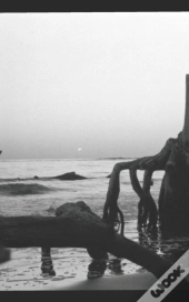 Lost At Sea