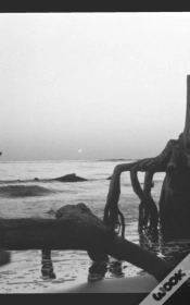 Capa do artigo Lost At Sea