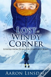 Capa do artigo Lost At Windy Corner