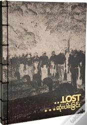 Capa do artigo Lost