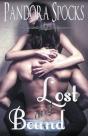 Lost   Bound - Preview