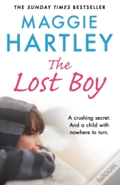 Capa do artigo Lost Boy