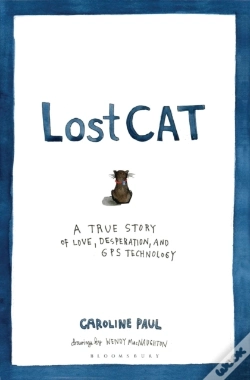 Capa do artigo Lost Cat