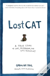 Capa do artigo Lost Cat