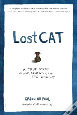Capa do artigo Lost Cat