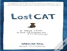 Lost Cat