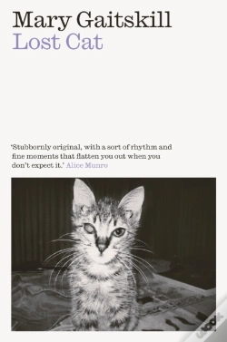 Capa do artigo Lost Cat