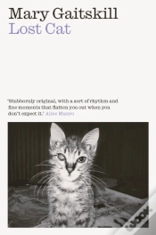 Capa do artigo Lost Cat