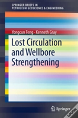 Capa do artigo Lost Circulation And Wellbore Strengthening