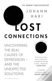Capa do artigo Lost Connections