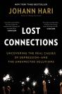 Lost Connections - Preview