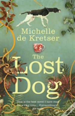 Capa do artigo Lost Dog