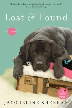 Capa do artigo Lost & Found