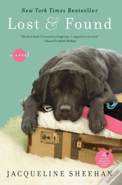 Capa do artigo Lost & Found