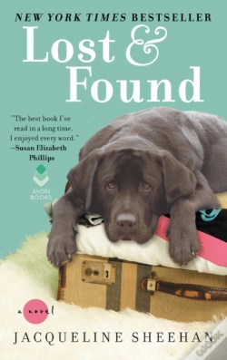 Capa do artigo Lost & Found