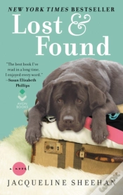 Capa do artigo Lost & Found