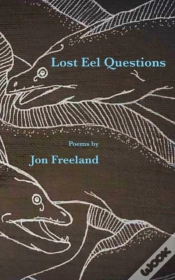 Capa do artigo Lost Eel Questions