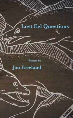 Capa do artigo Lost Eel Questions