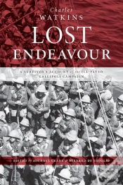 Capa do artigo Lost Endeavour