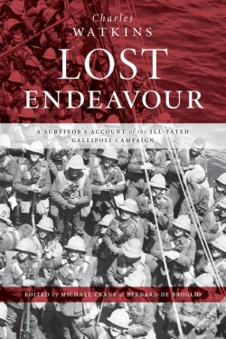 Capa do artigo Lost Endeavour