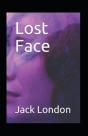 Lost Face Annotated - Preview