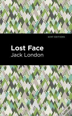 Capa do artigo Lost Face