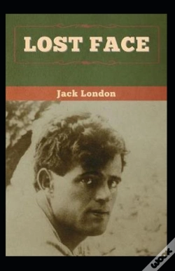 Capa do artigo Lost Face