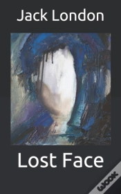 Capa do artigo Lost Face