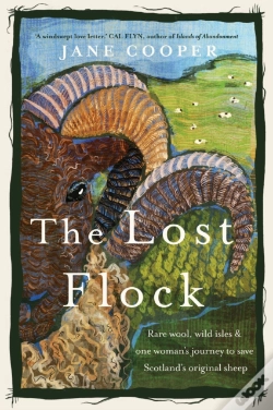 Capa do artigo Lost Flock
