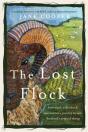 Lost Flock - Preview