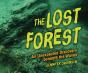 Lost Forest - Preview