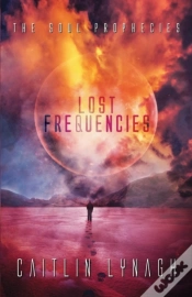 Capa do artigo Lost Frequencies