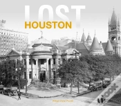 Capa do artigo Lost Houston