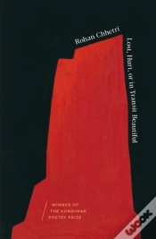 Capa do artigo Lost, Hurt, Or In Transit Beautiful