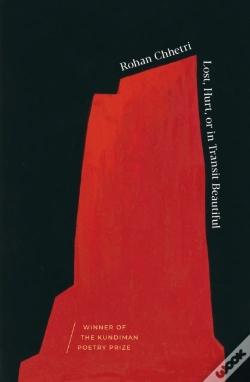 Capa do artigo Lost, Hurt, Or In Transit Beautiful