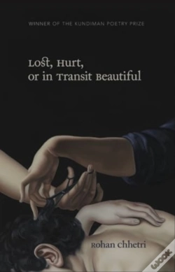 Capa do artigo Lost, Hurt, Or In Transit Beautiful