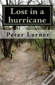 Capa do artigo Lost In A Hurricane