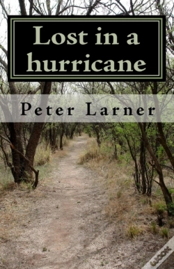 Capa do artigo Lost In A Hurricane