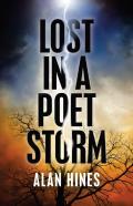 Lost In A Poet Storm