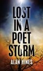 Lost In A Poet Storm - Preview