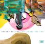 Lost in Abstraction - Vinil - Preview