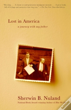 Capa do artigo Lost In America