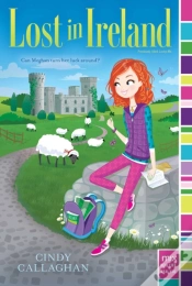 Capa do artigo Lost In Ireland