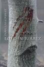 Lost In Juarez - Preview