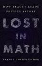 Lost In Math How Beauty Leads Physics As - Preview