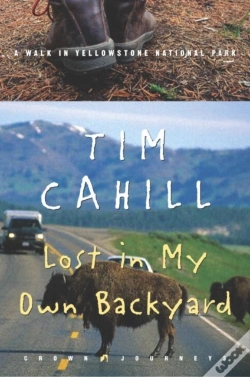 Capa do artigo Lost In My Own Backyard