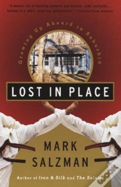 Capa do artigo Lost In Place