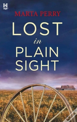 Capa do artigo Lost In Plain Sight